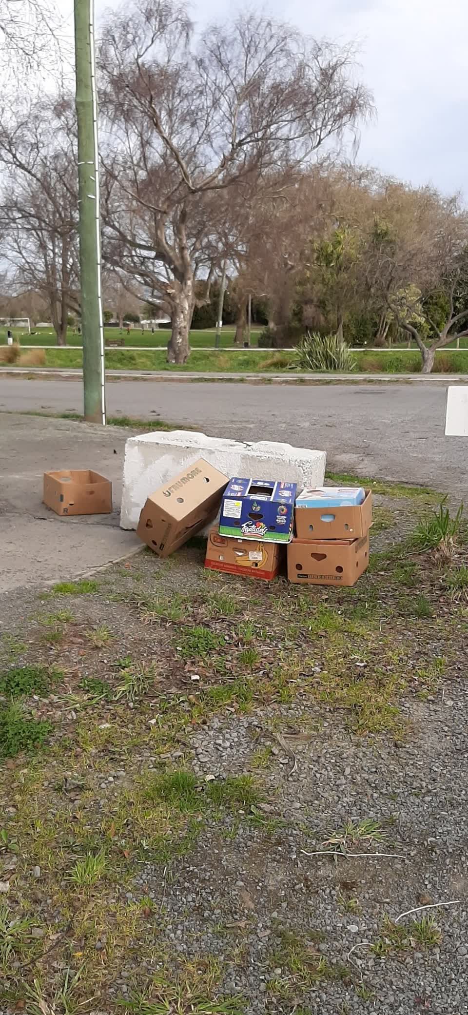 The photograph attached to this rubbish/recycling report