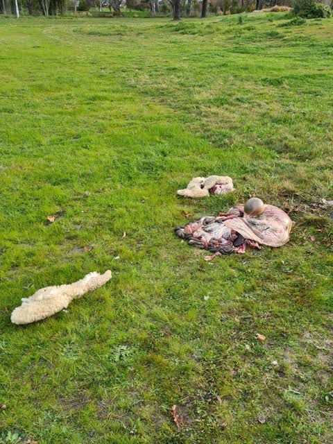 Parks — a report photo