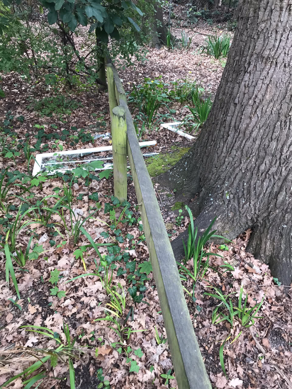 The photograph attached to this parks report