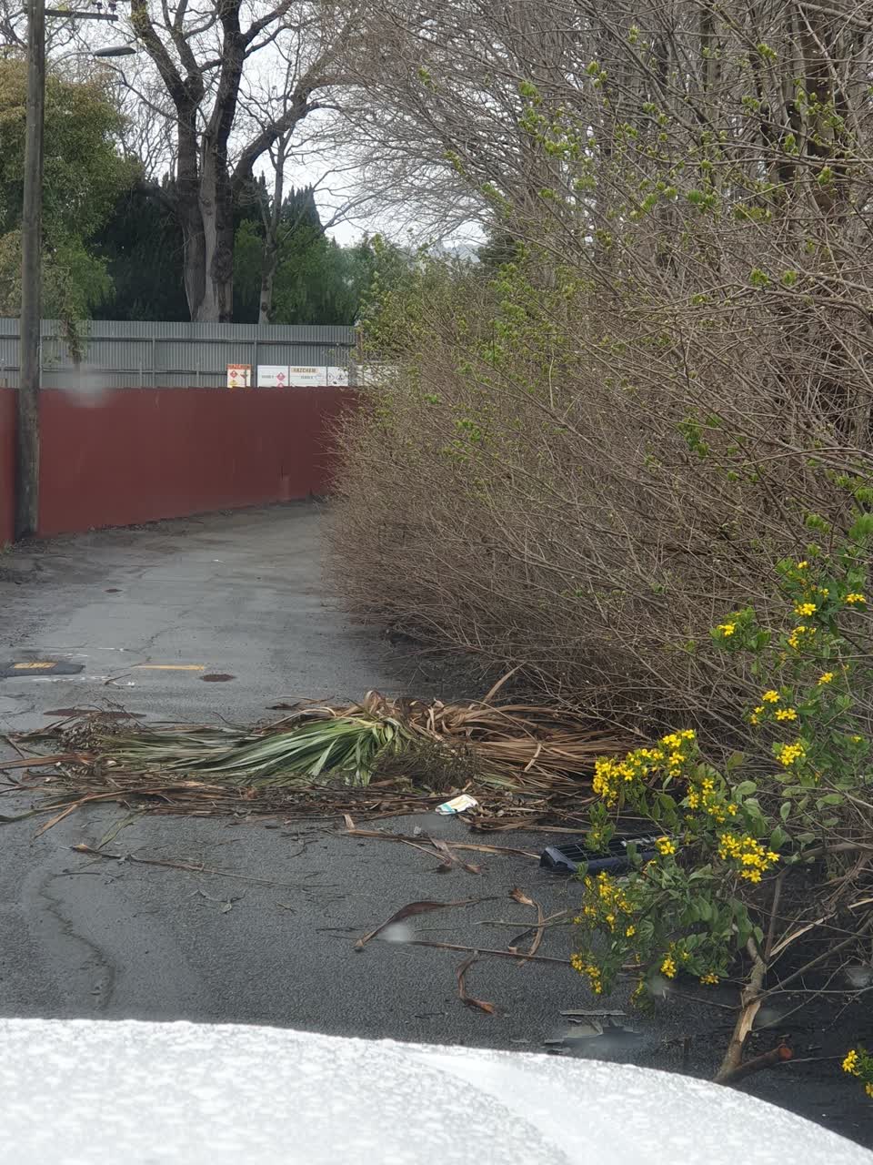 The photograph attached to this roading/streets report