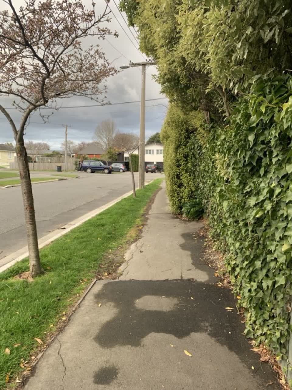 The photograph attached to this roading/streets report