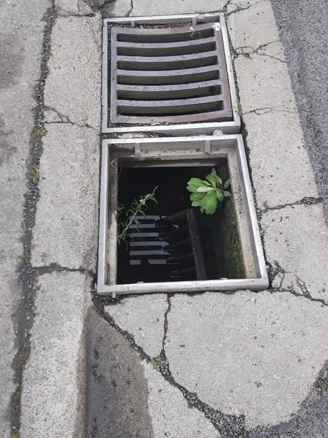 Roading/Streets, a report photo