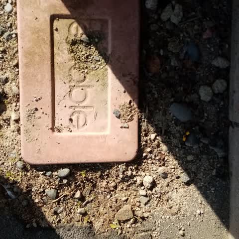 Roading/Streets, a report photo