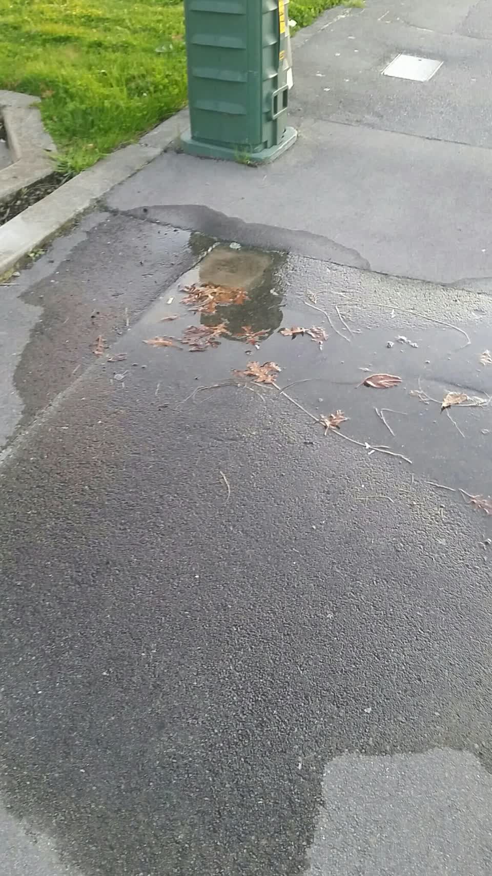 The photograph attached to this water supply report