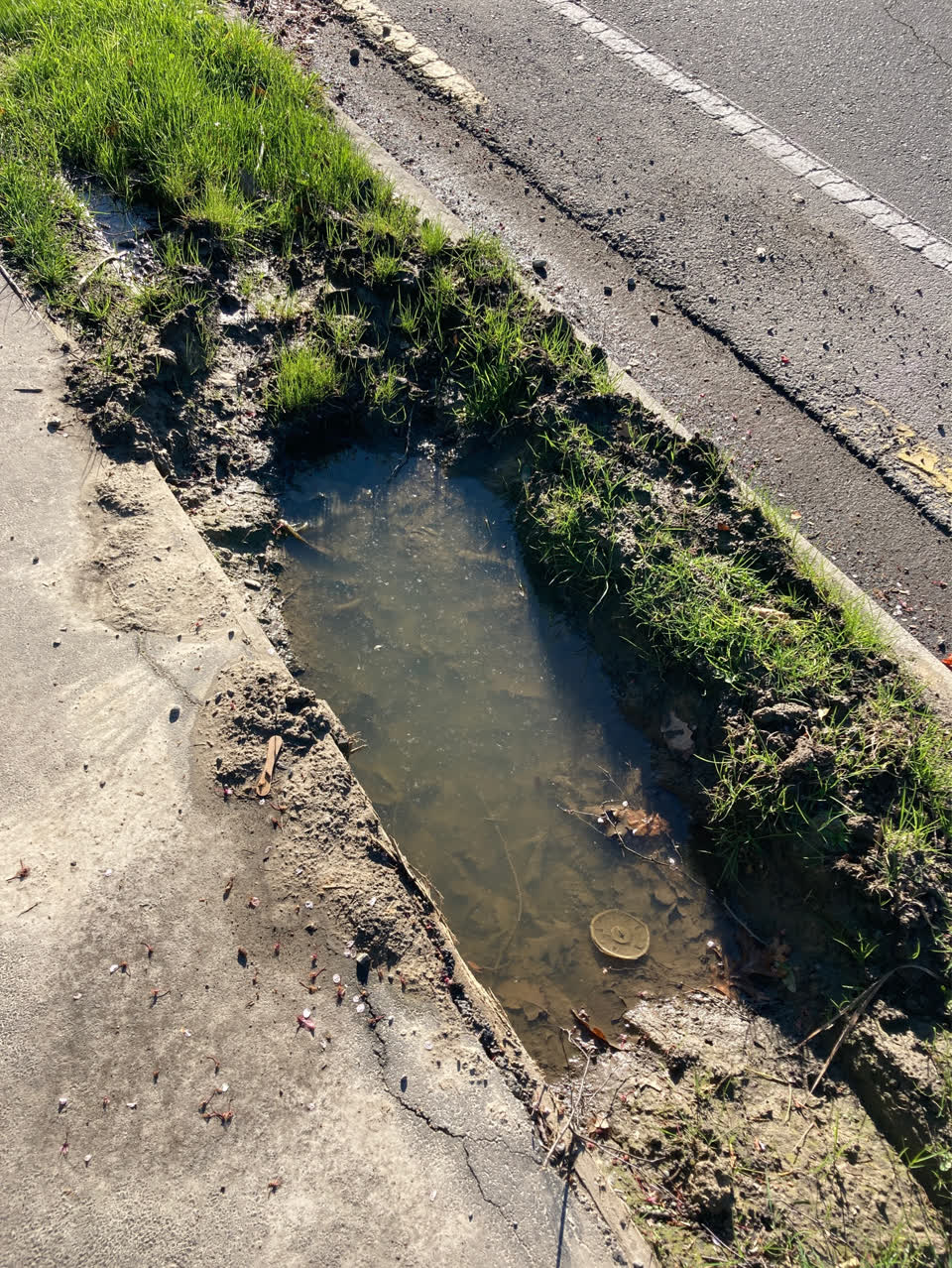 The photograph attached to this roading/streets report