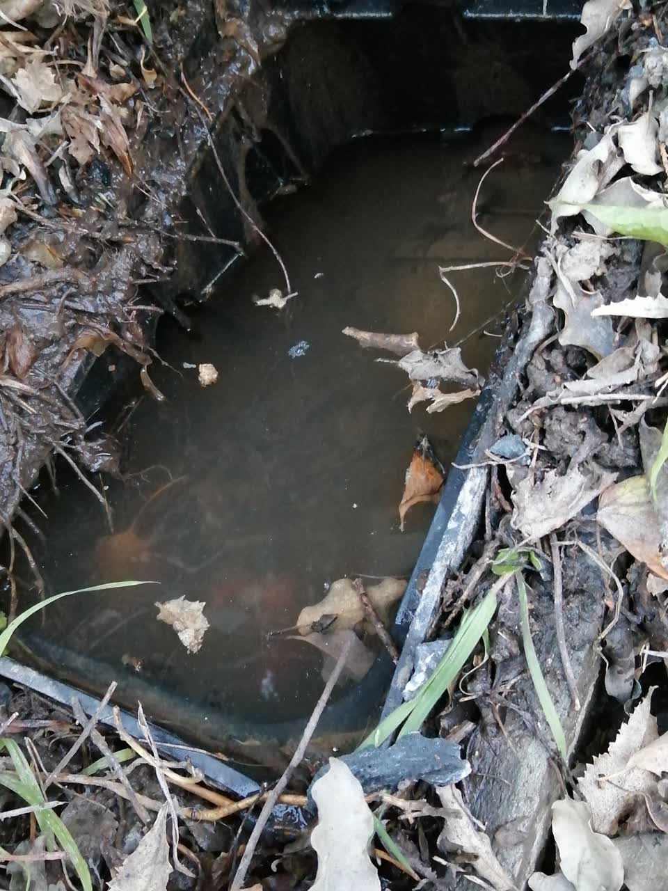The photograph attached to this water supply report
