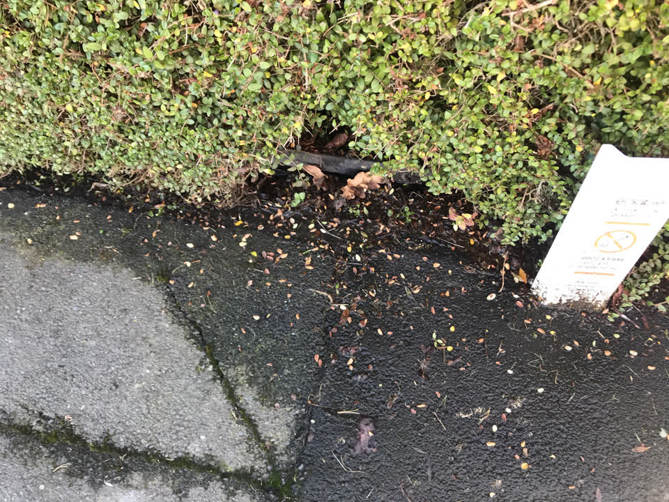The photograph attached to this water supply report