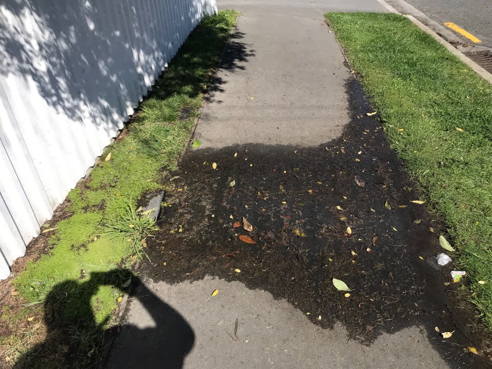 The photograph attached to this water supply report