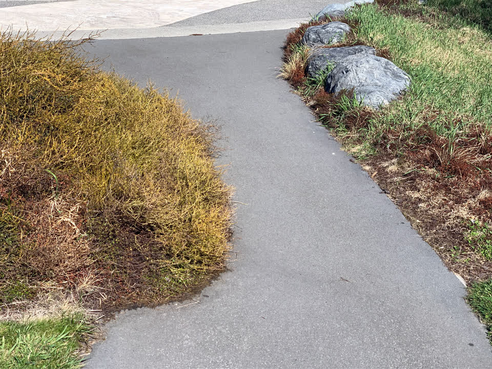 The photograph attached to this roading/streets report