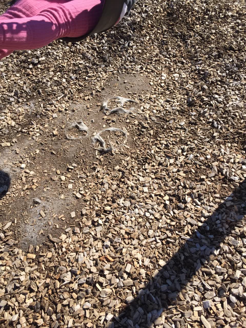 The photograph attached to this parks report