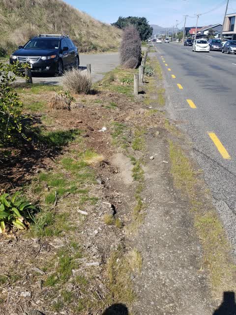 Roading/Streets, a report photo