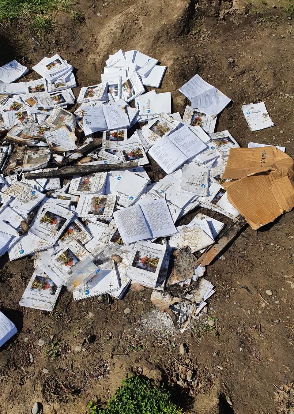 The photograph attached to this parks report