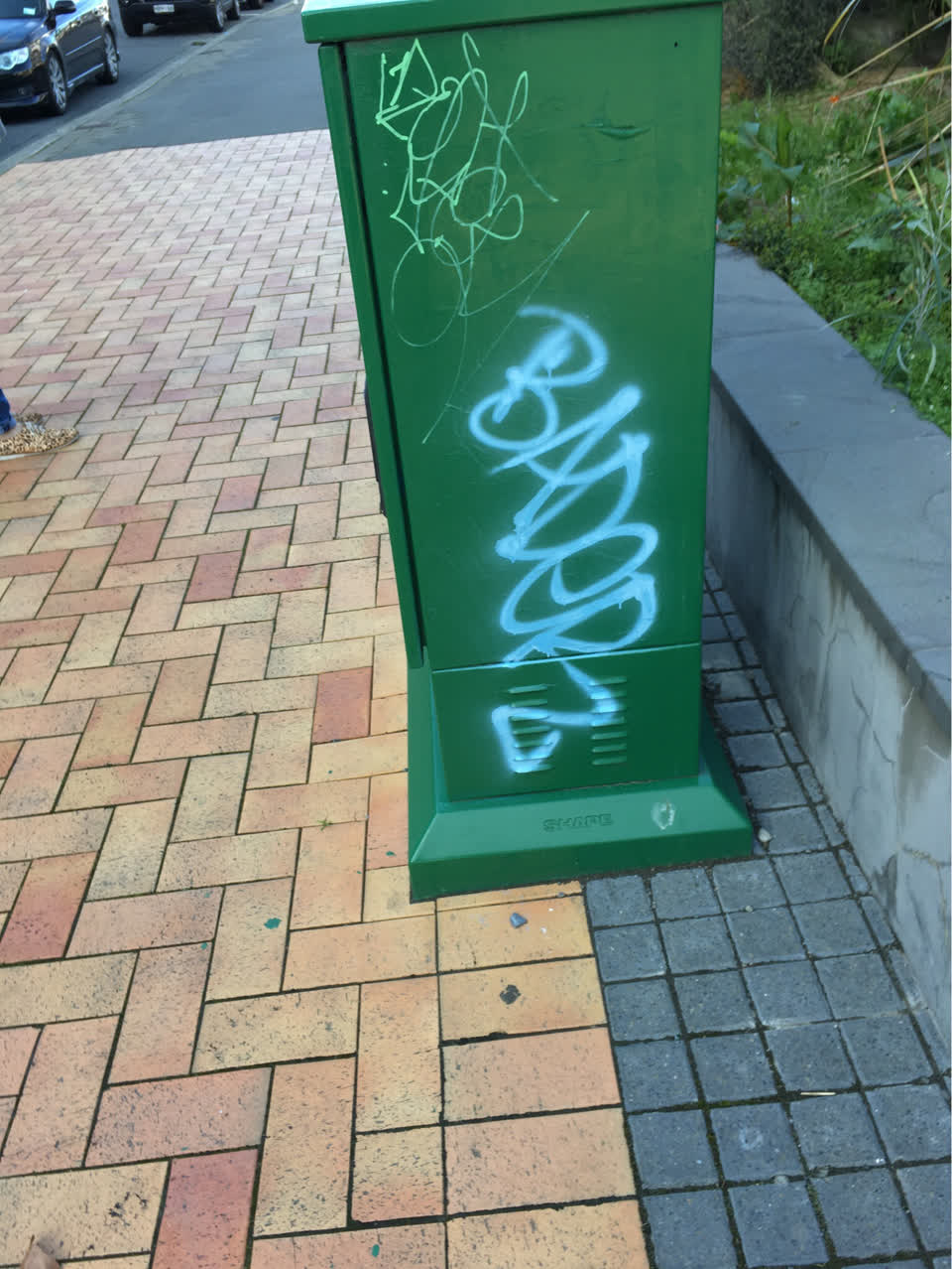 The photograph attached to this graffiti report