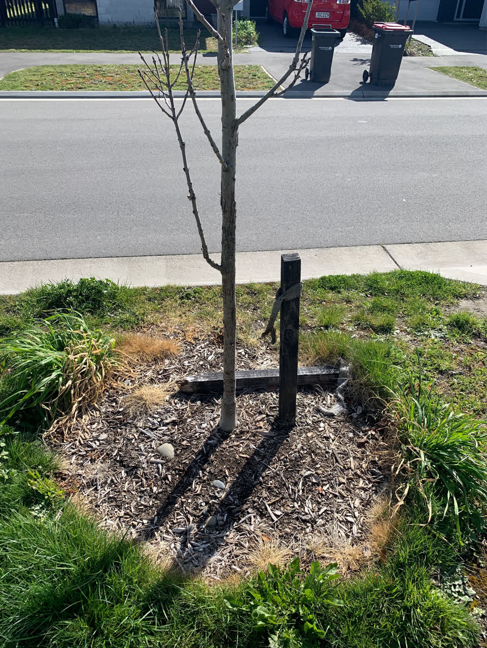 The photograph attached to this parks report