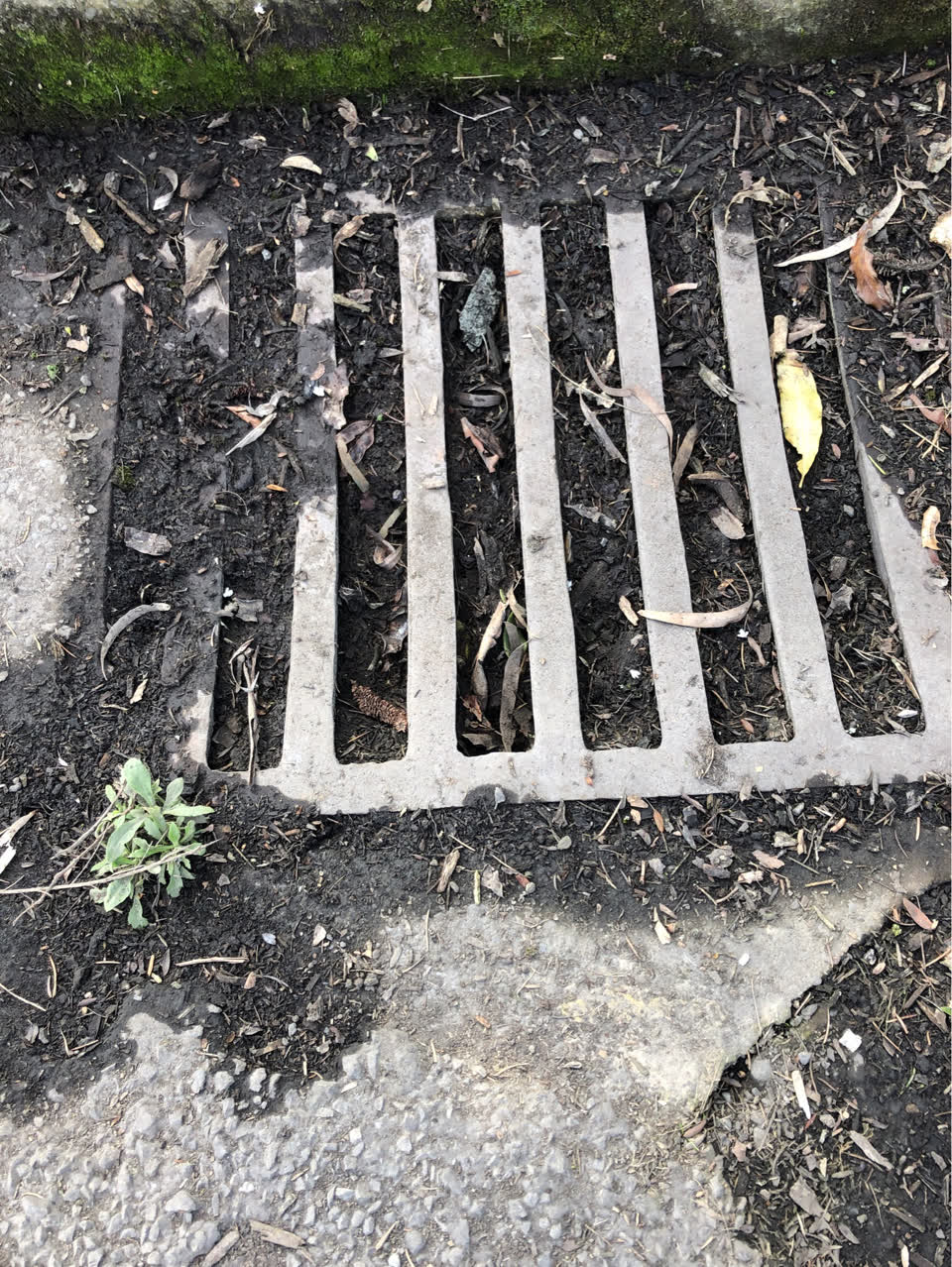 The photograph attached to this flooding report