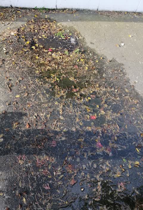 Water Supply, a report photo