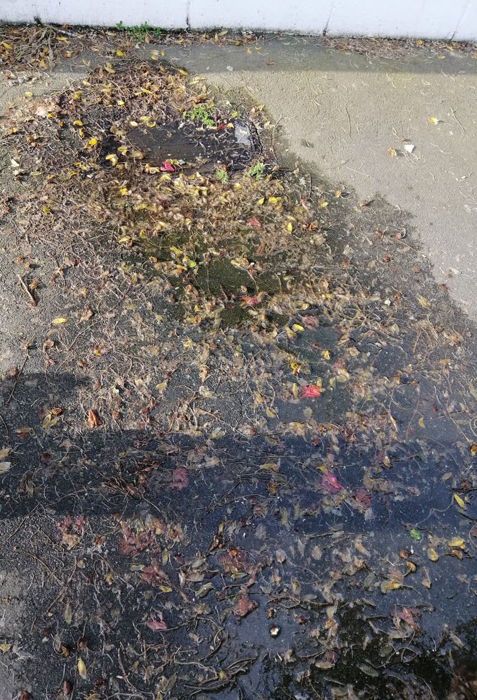 The photograph attached to this water supply report