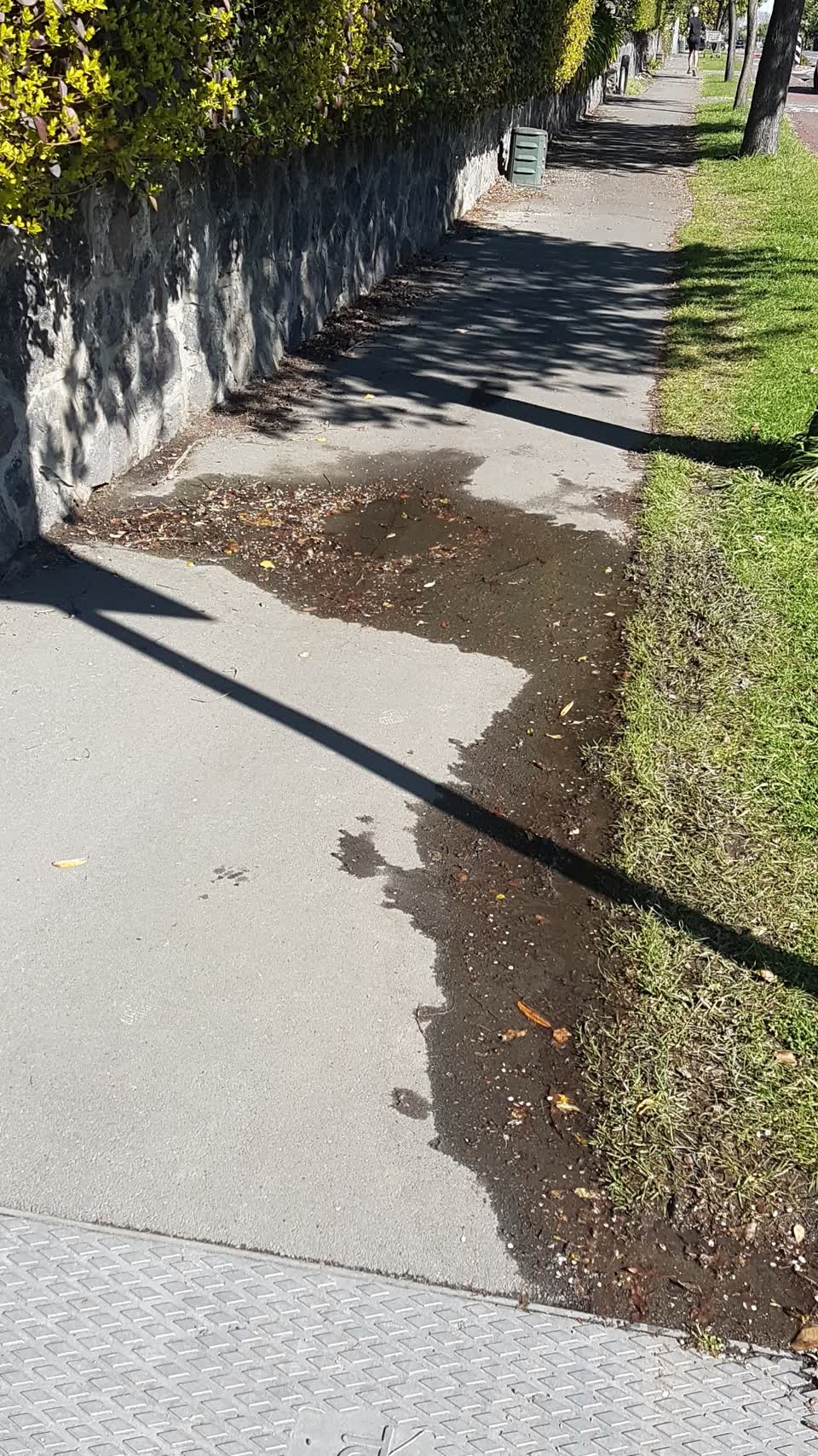 The photograph attached to this water supply report