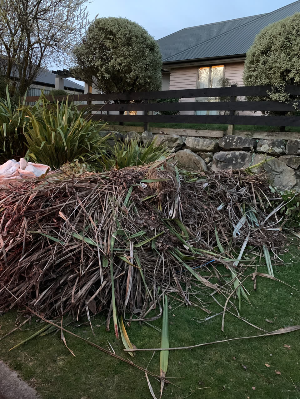 The photograph attached to this parks report