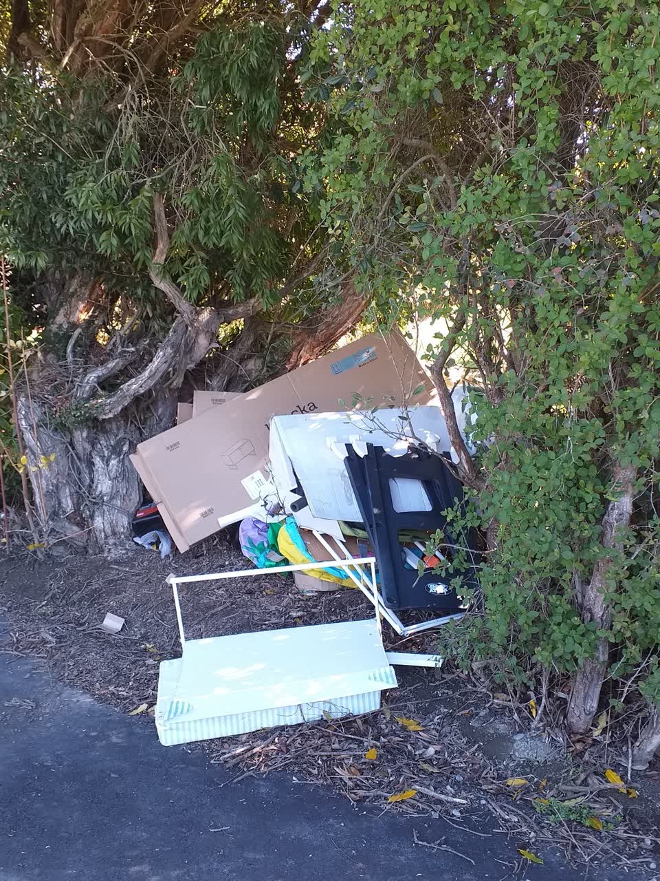The photograph attached to this rubbish/recycling report
