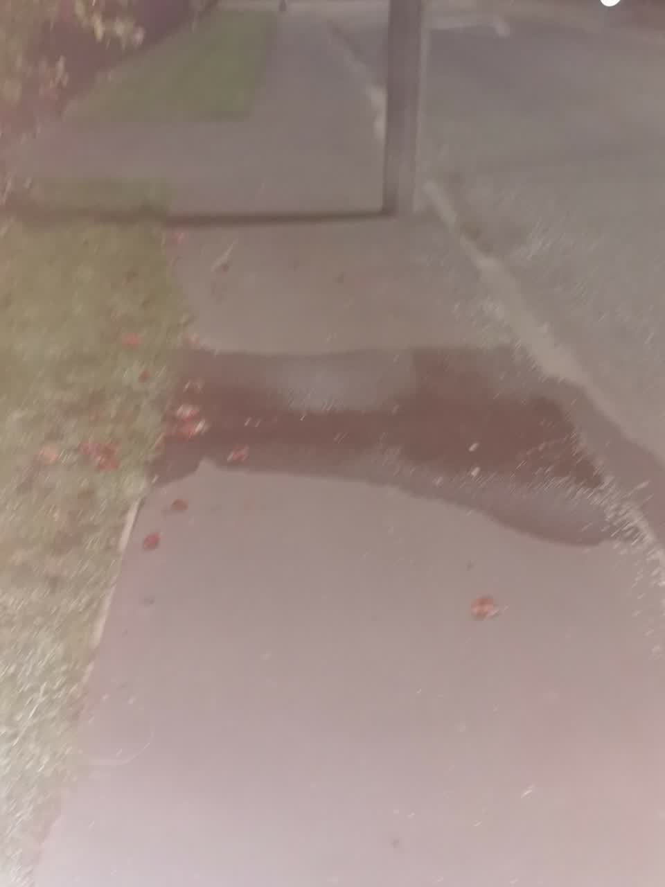 The photograph attached to this water supply report