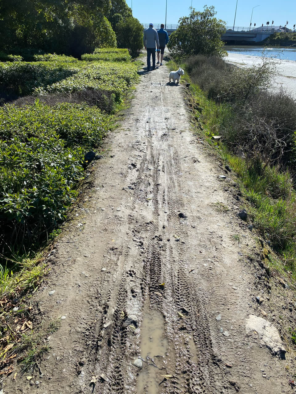 The photograph attached to this parks report