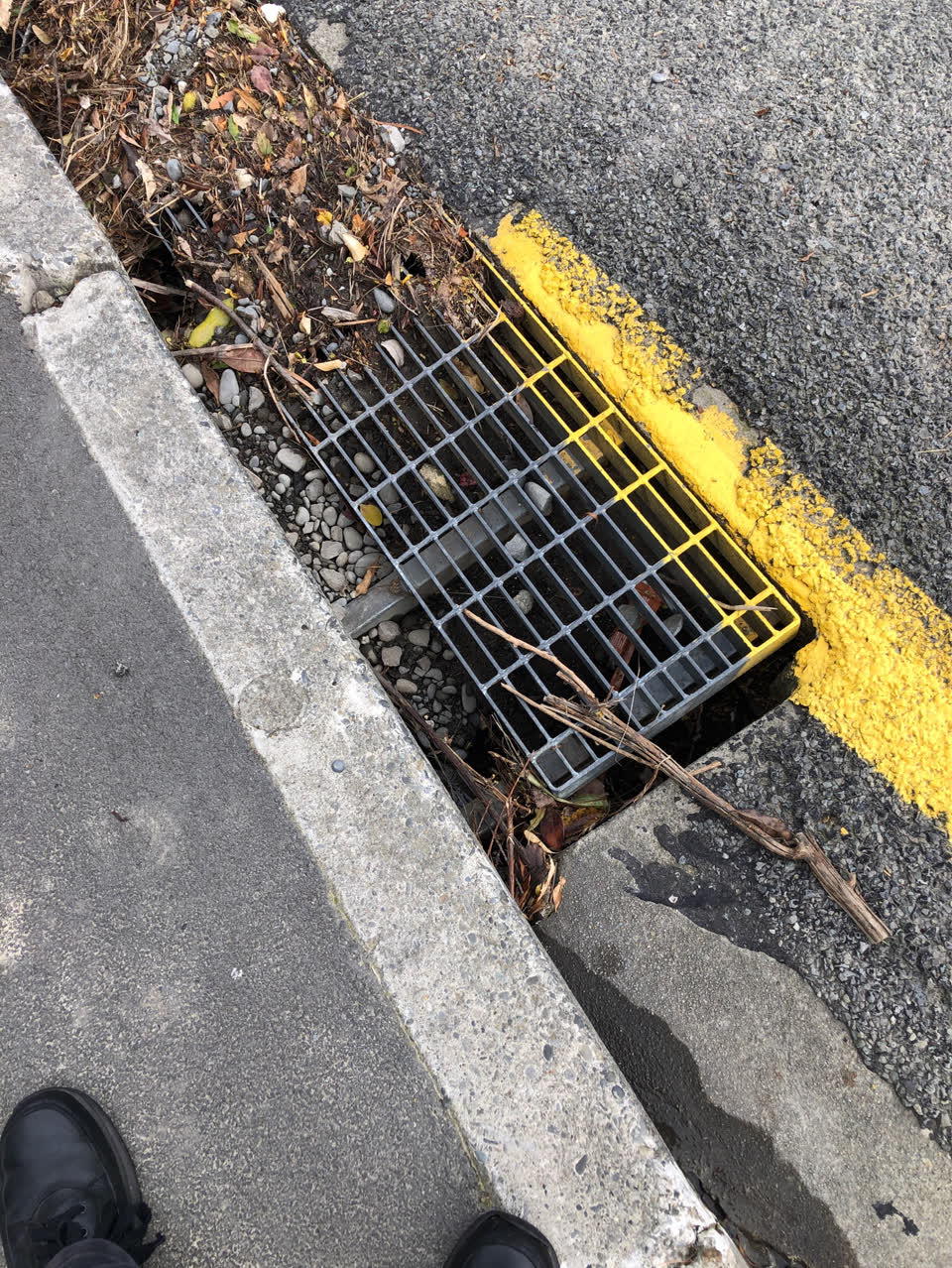 The photograph attached to this roading/streets report