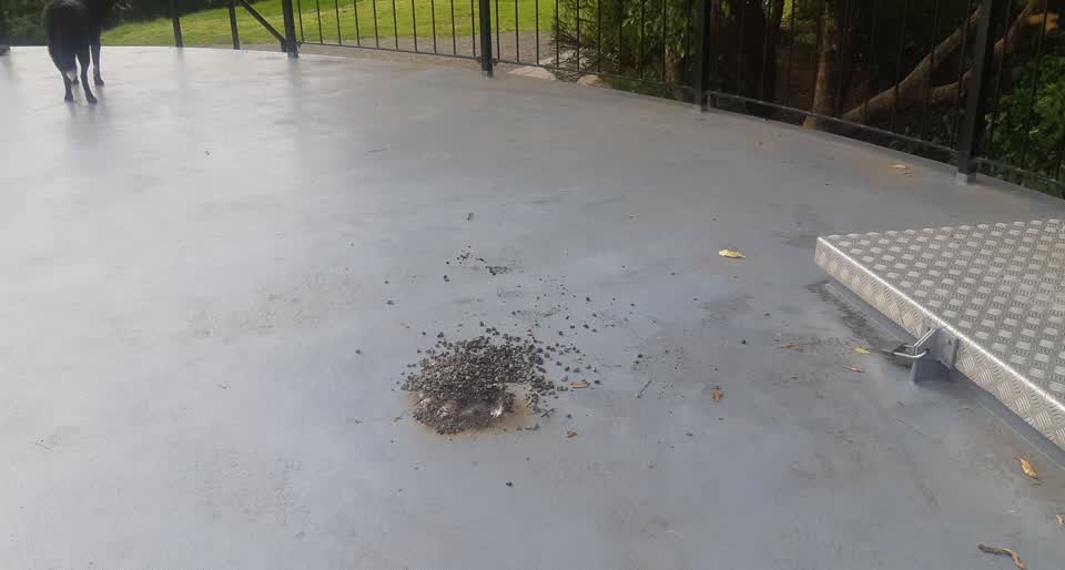 The photograph attached to this water supply report