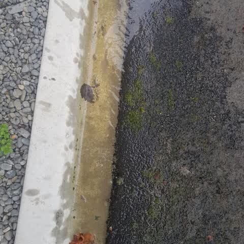 Water Supply, a report photo
