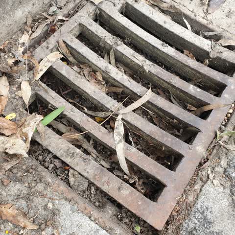 Wastewater/Stormwater, a report photo
