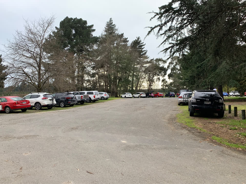 The photograph attached to this parks report
