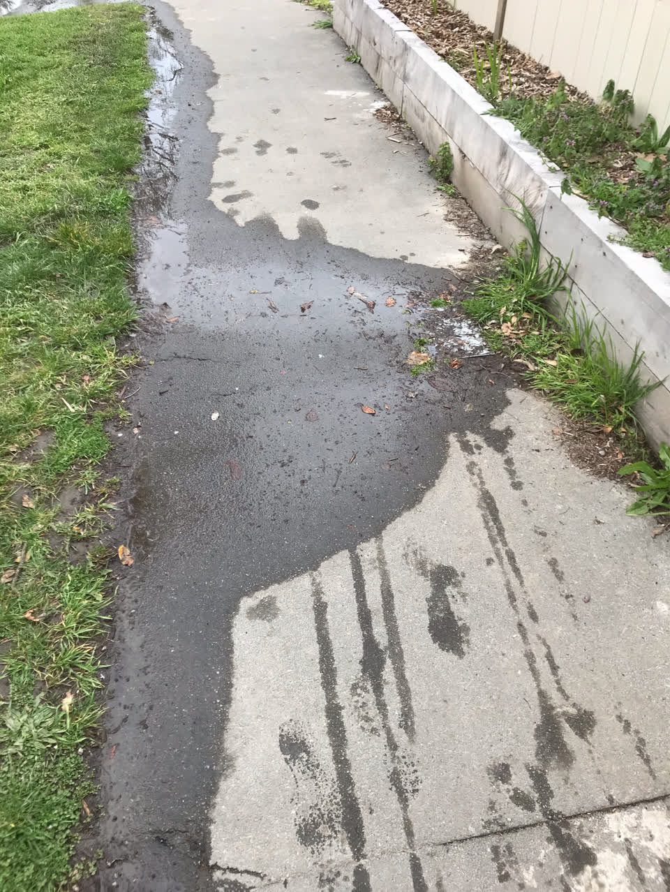 The photograph attached to this water supply report
