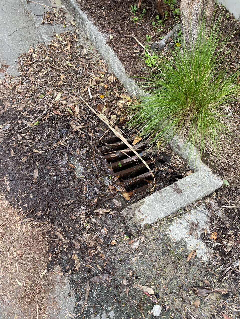 The photograph attached to this wastewater/stormwater report