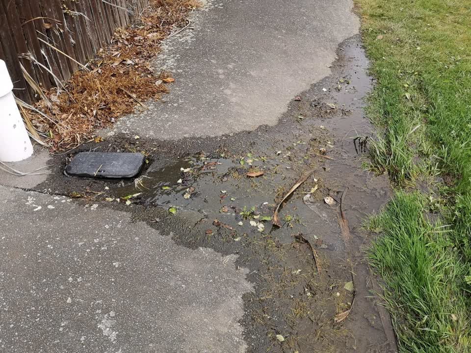 The photograph attached to this water supply report