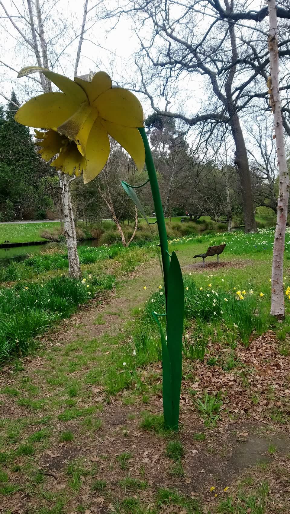 The photograph attached to this parks report