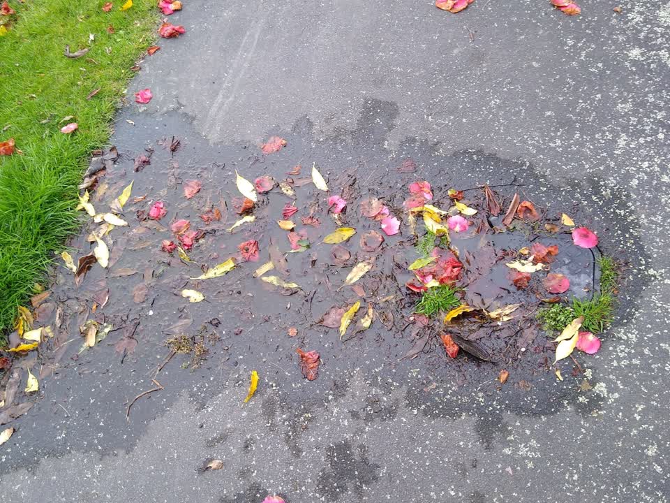The photograph attached to this water supply report