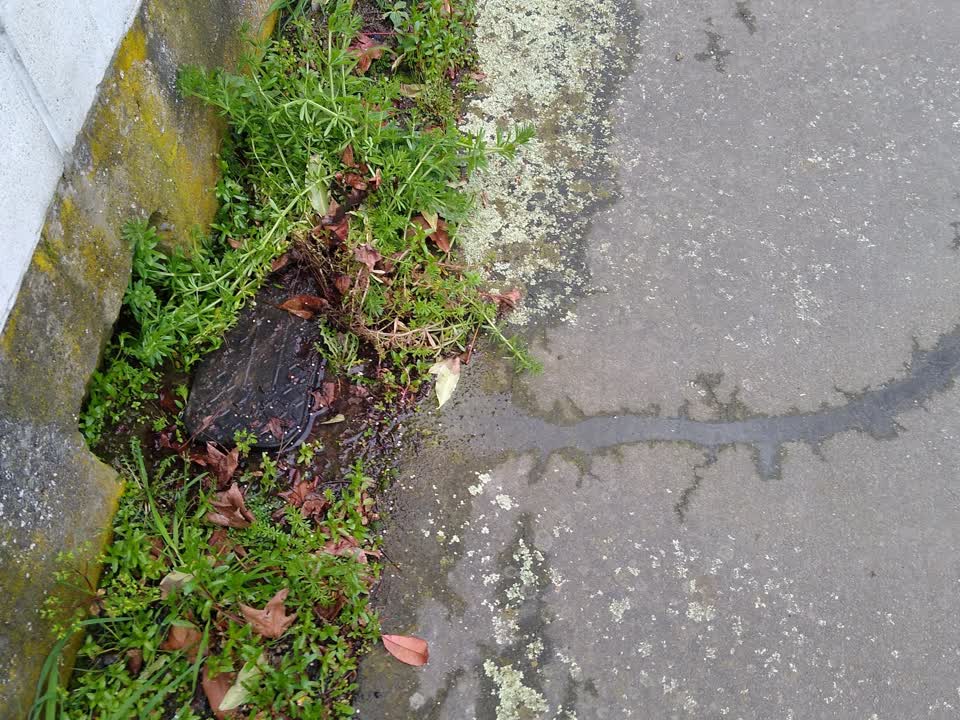 The photograph attached to this water supply report