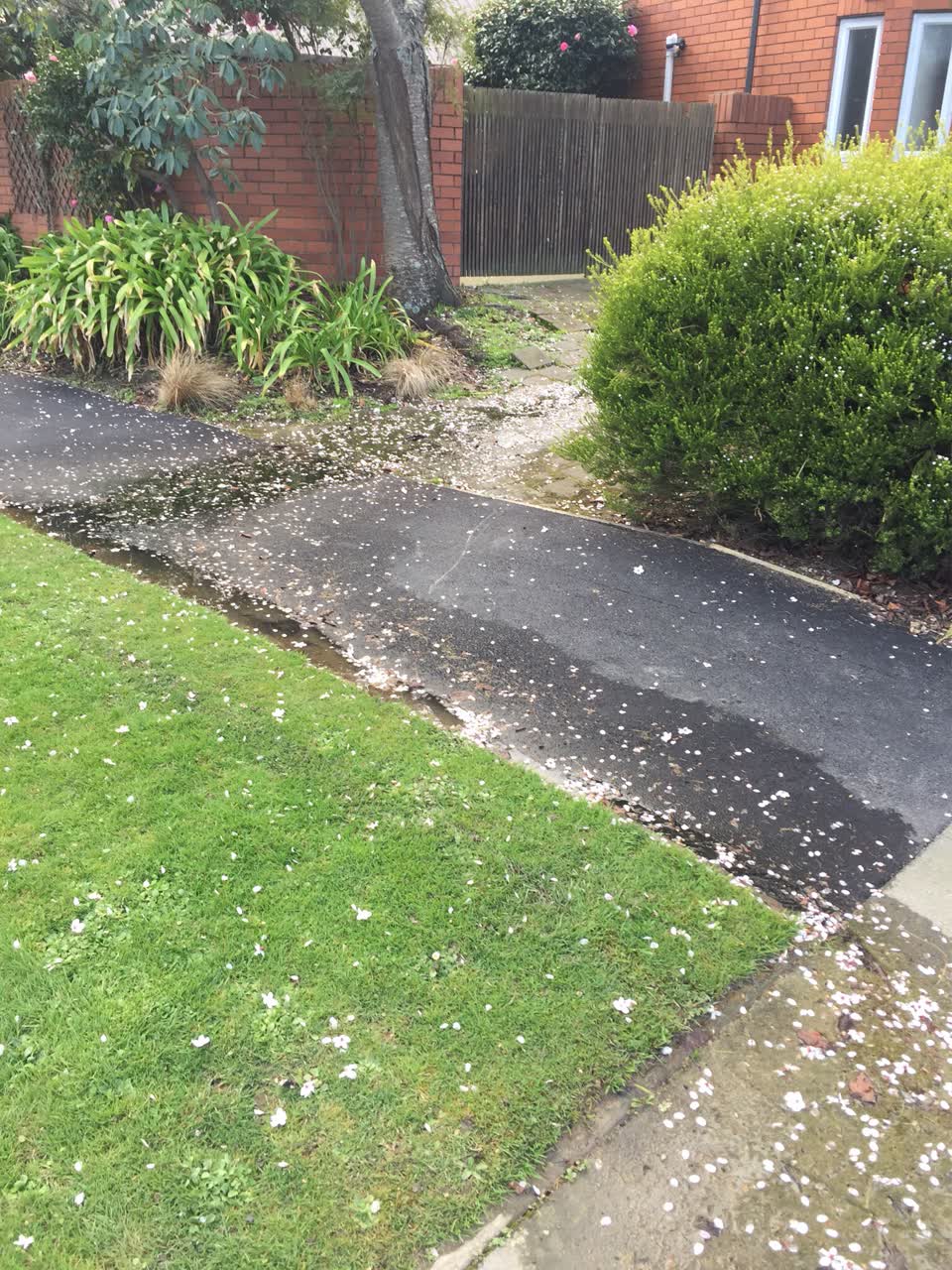The photograph attached to this water supply report