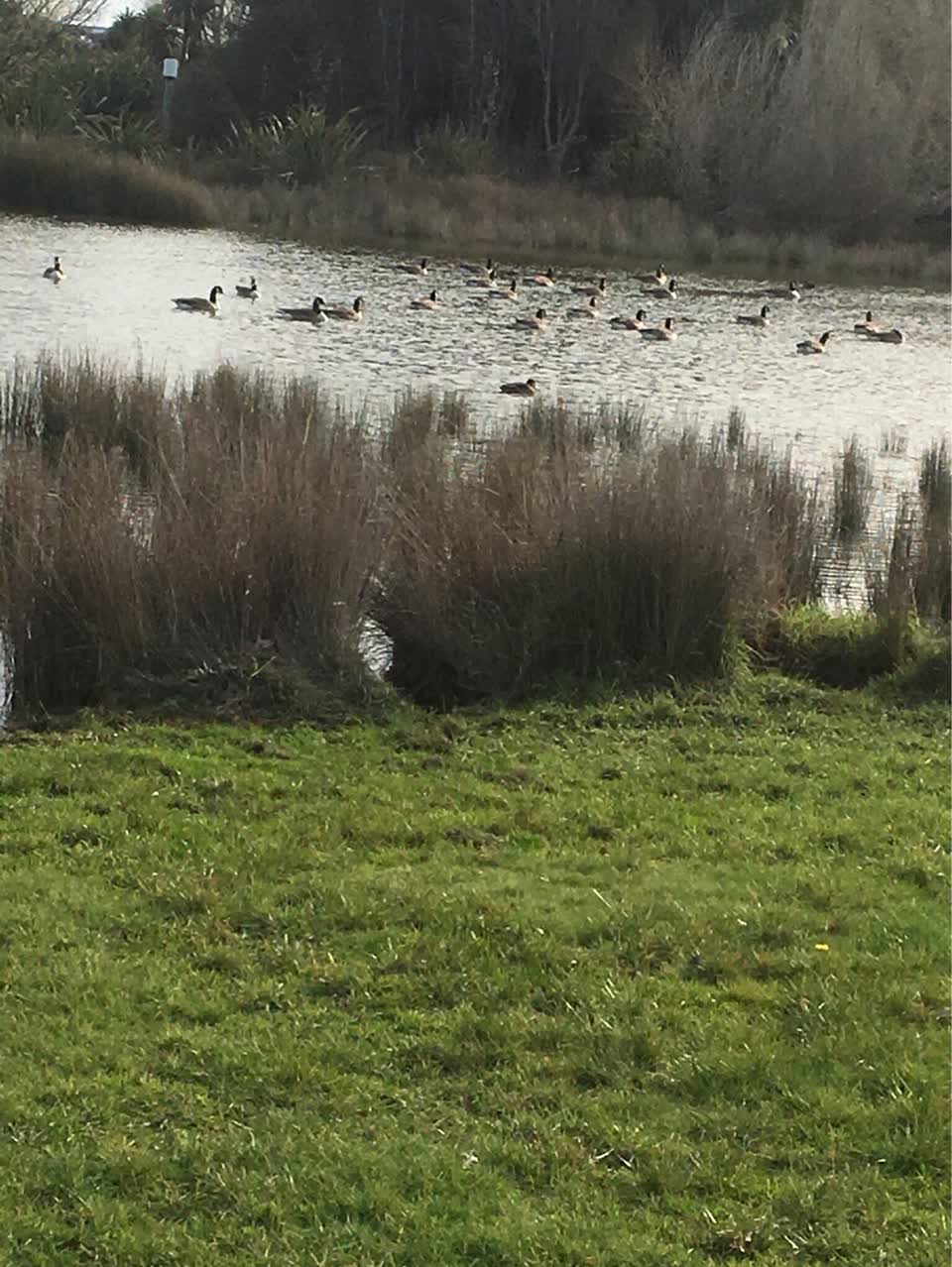 The photograph attached to this parks report