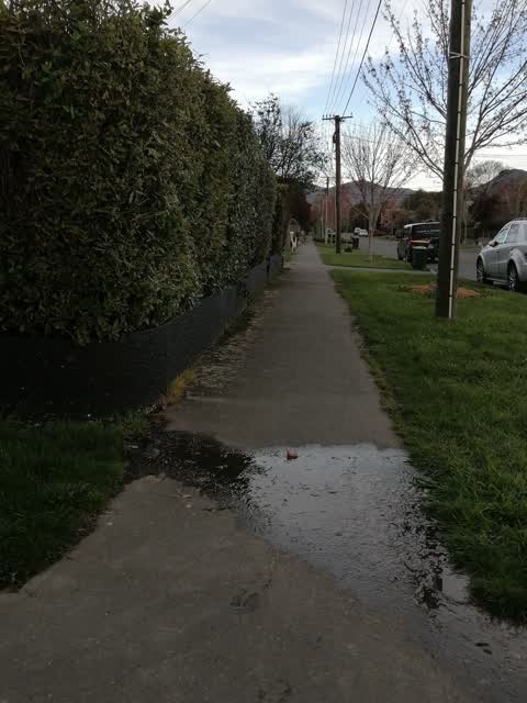 Water Supply, a report photo