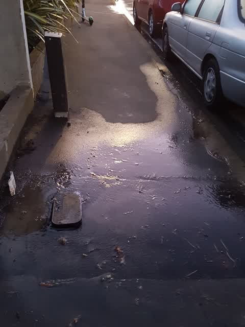 Water Supply, a report photo