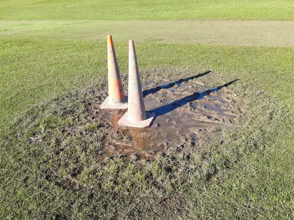 The photograph attached to this parks report