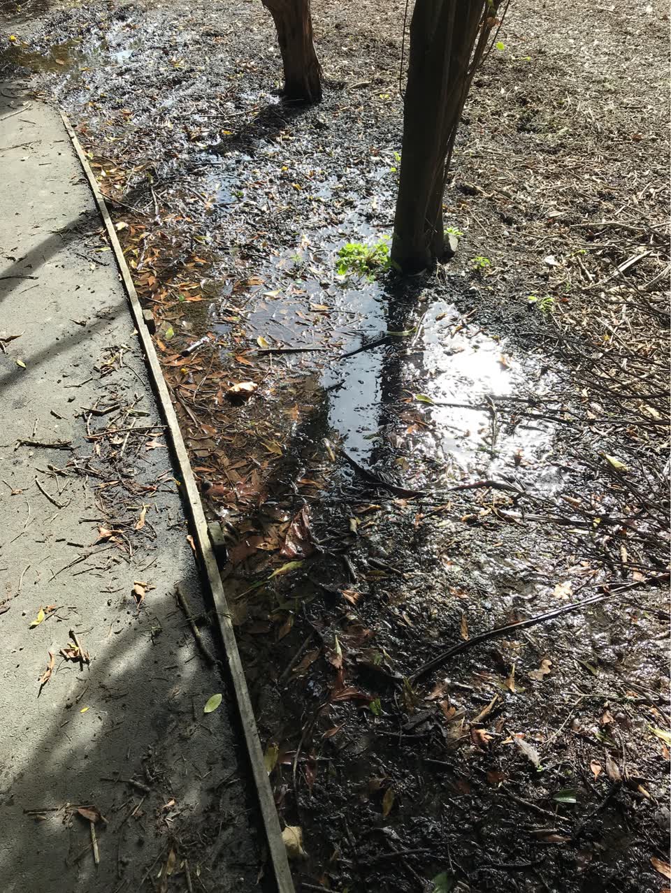 The photograph attached to this water supply report