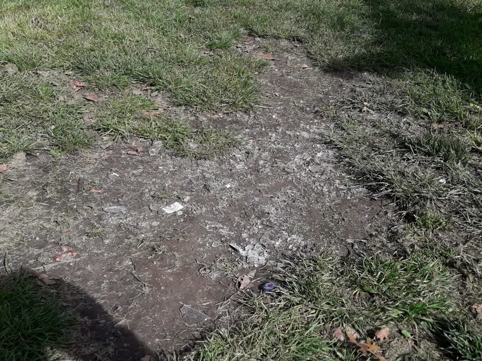 The photograph attached to this parks report
