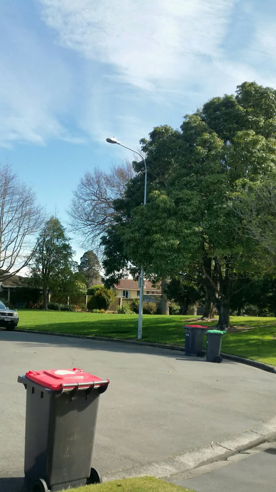 The photograph attached to this parks report