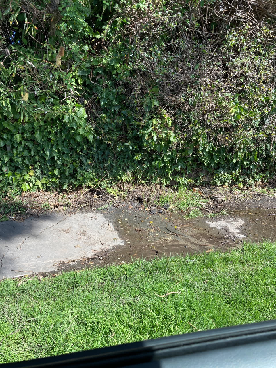 The photograph attached to this water supply report