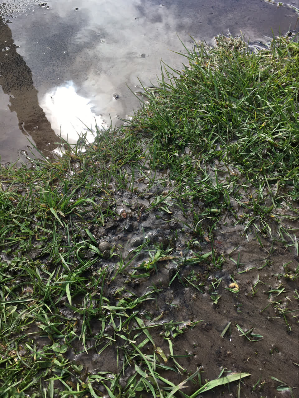 The photograph attached to this water supply report