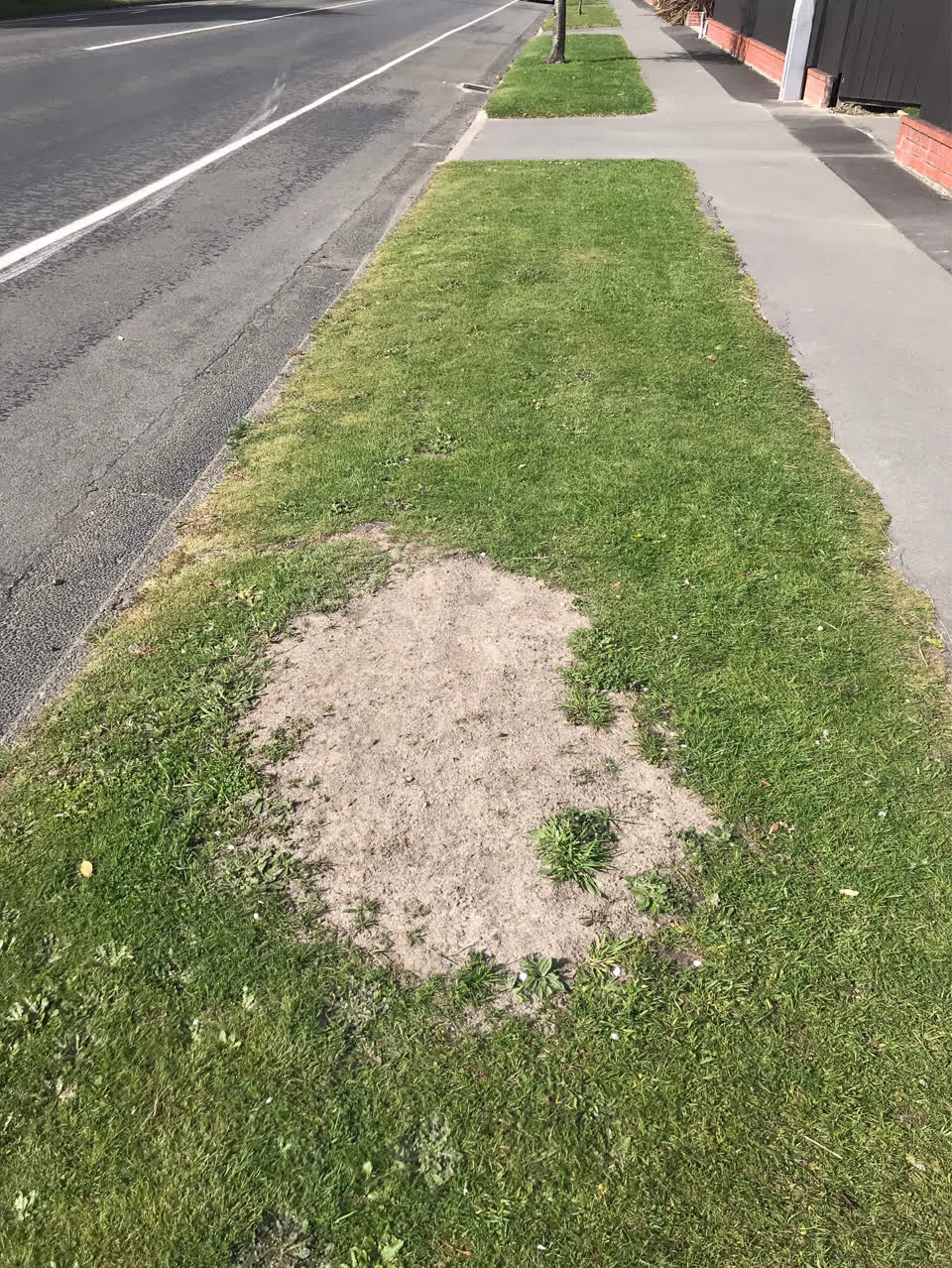The photograph attached to this roading/streets report