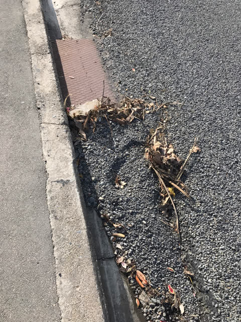 Wastewater/Stormwater, a report photo
