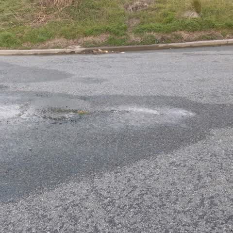 Wastewater/Stormwater, a report photo